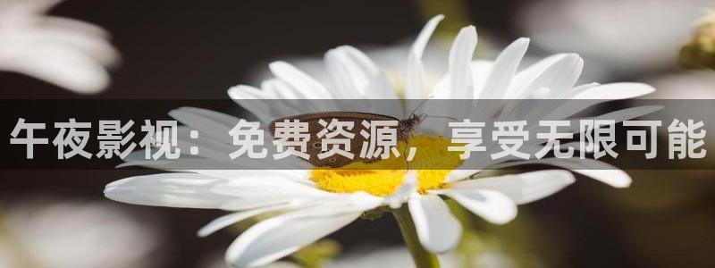 繁花星辰影院